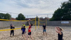Volleybal